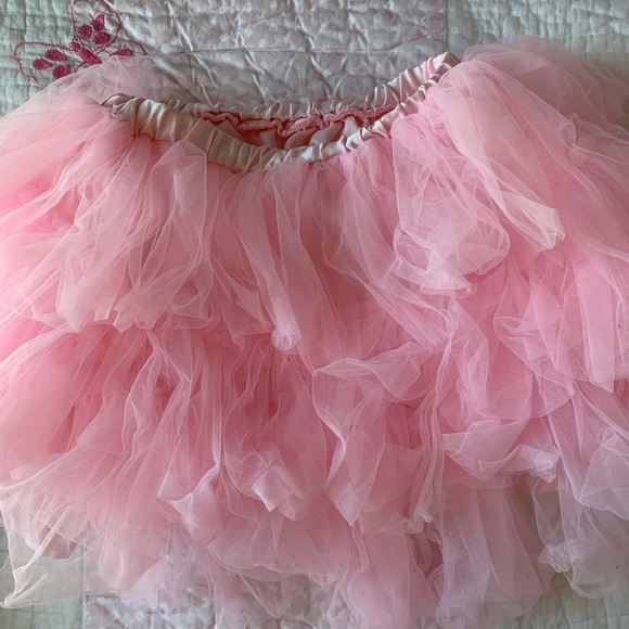 Pottery Barn Kids Other - PBK Pink tutu size 3-6 yrs